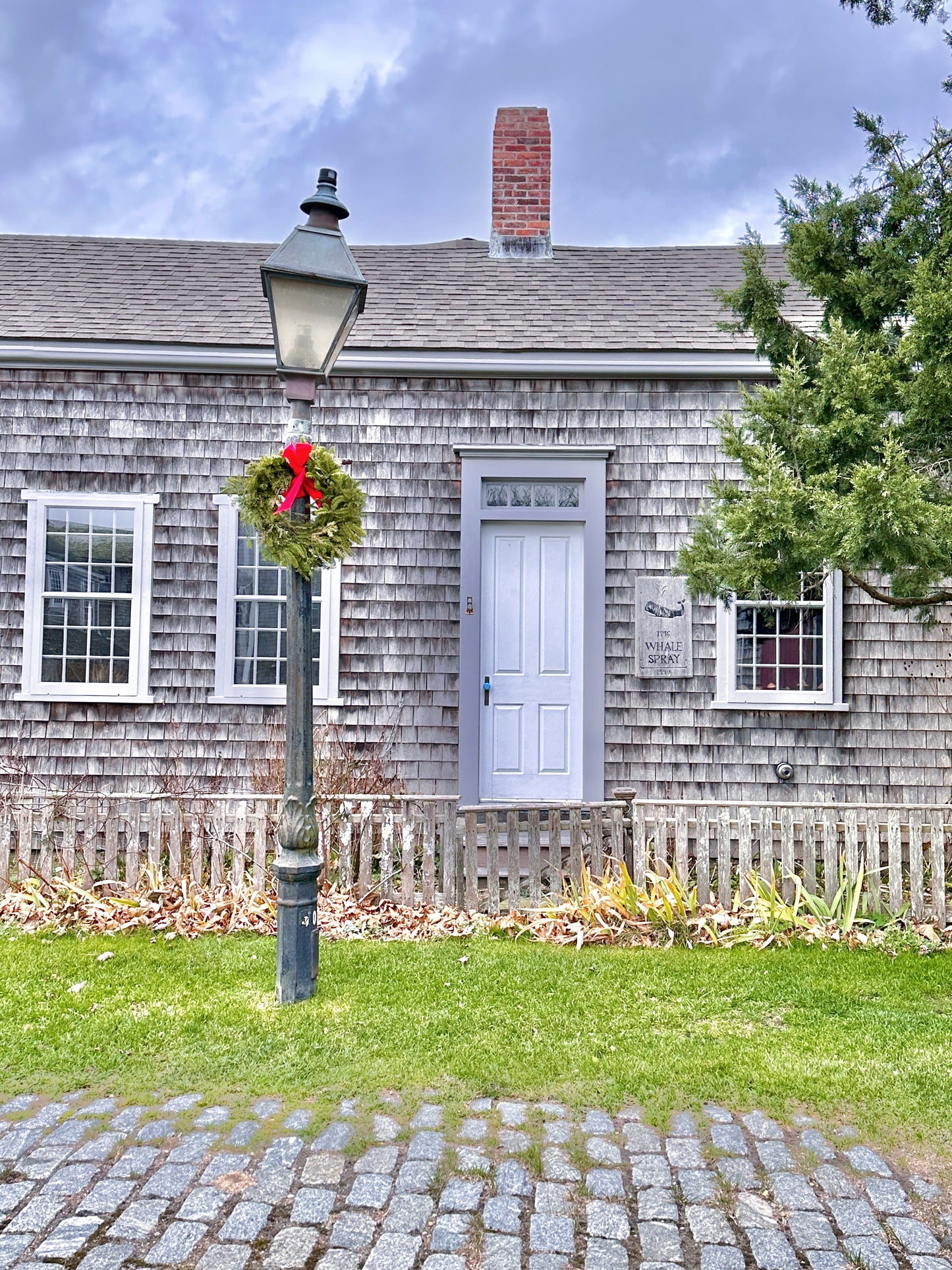 Winter Collection: Note Cards