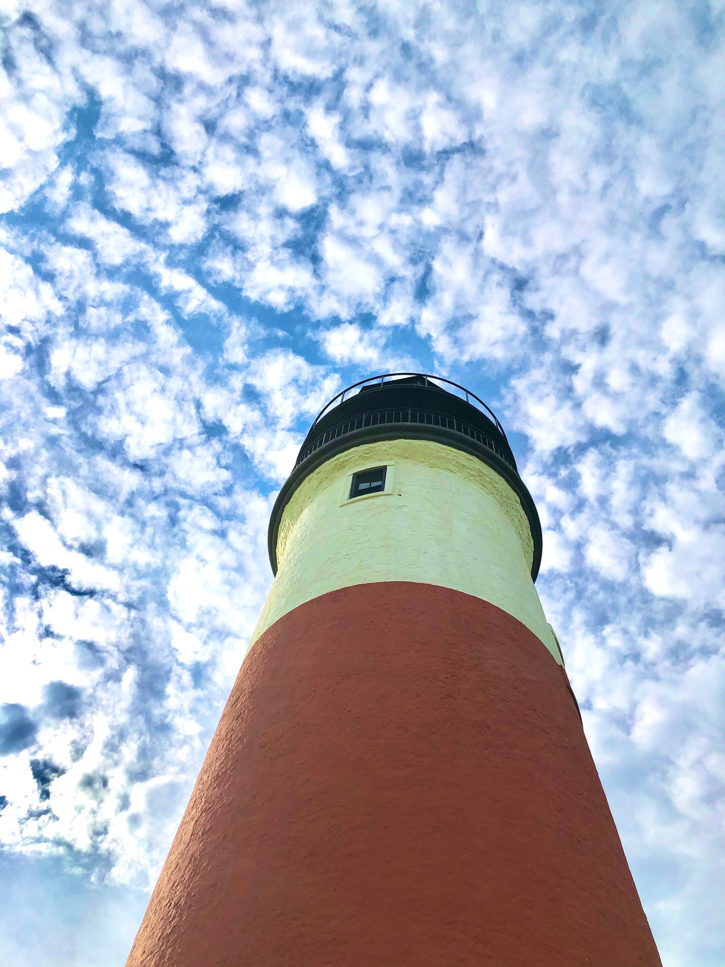 Summer Collection: Note Cards