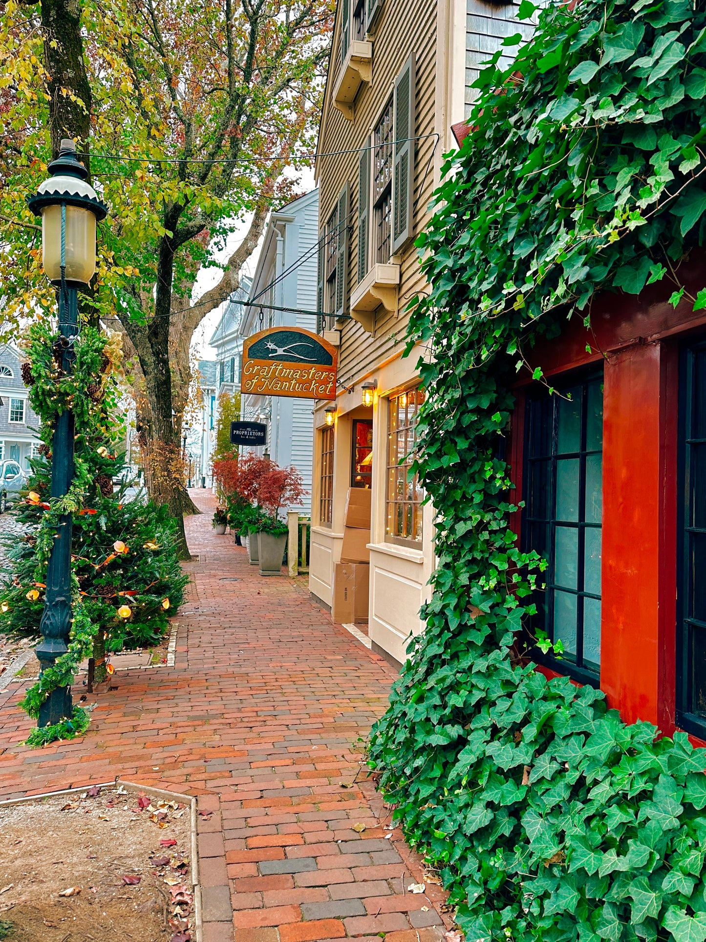 Winter Collection: Note Cards