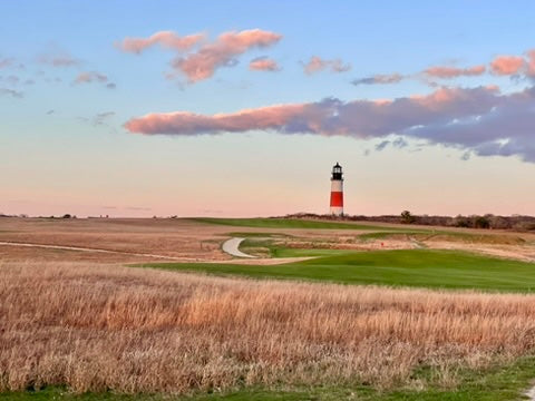 Autumn Collection: Note Cards