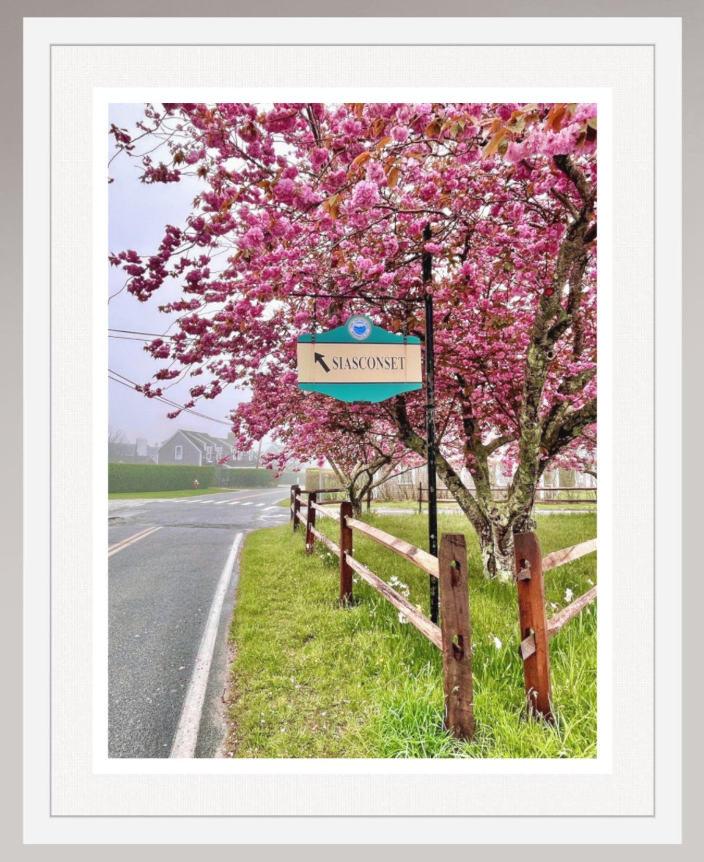 Cherry Tree Memories