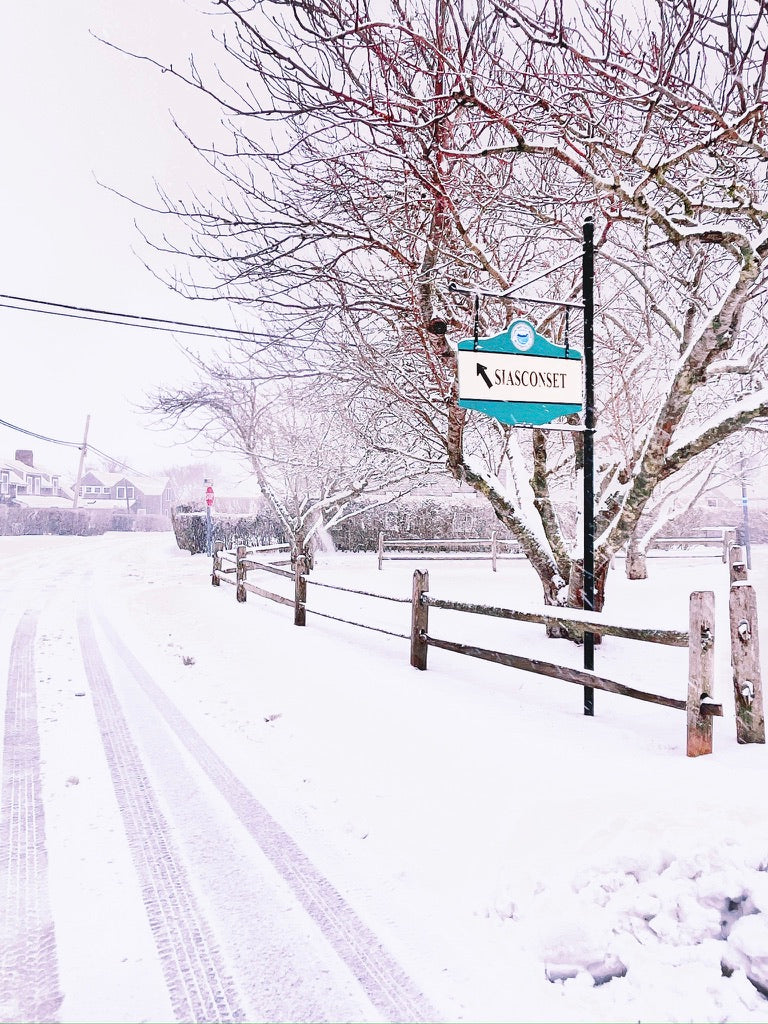 Winter Collection: Note Cards