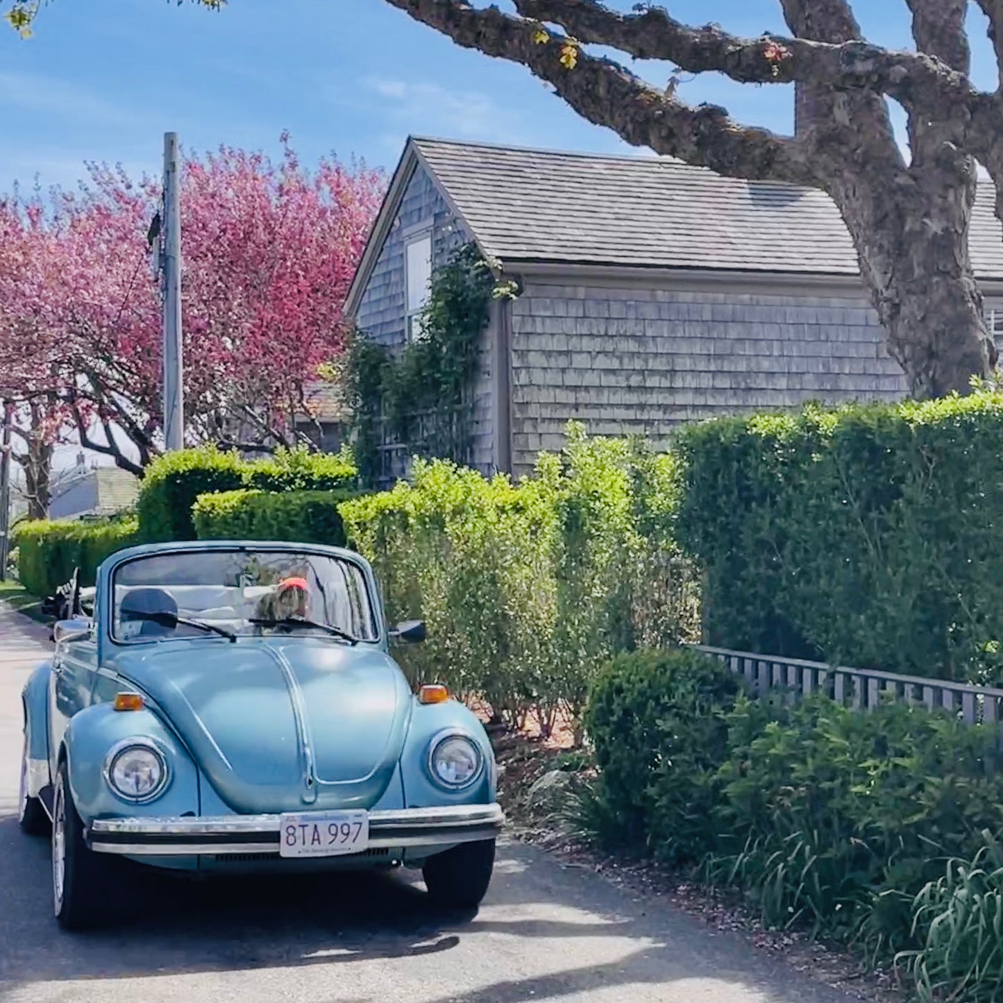 Island Car Note Cards