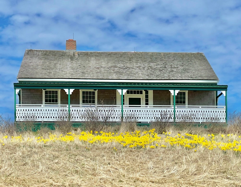 Spring Collection: Note Cards