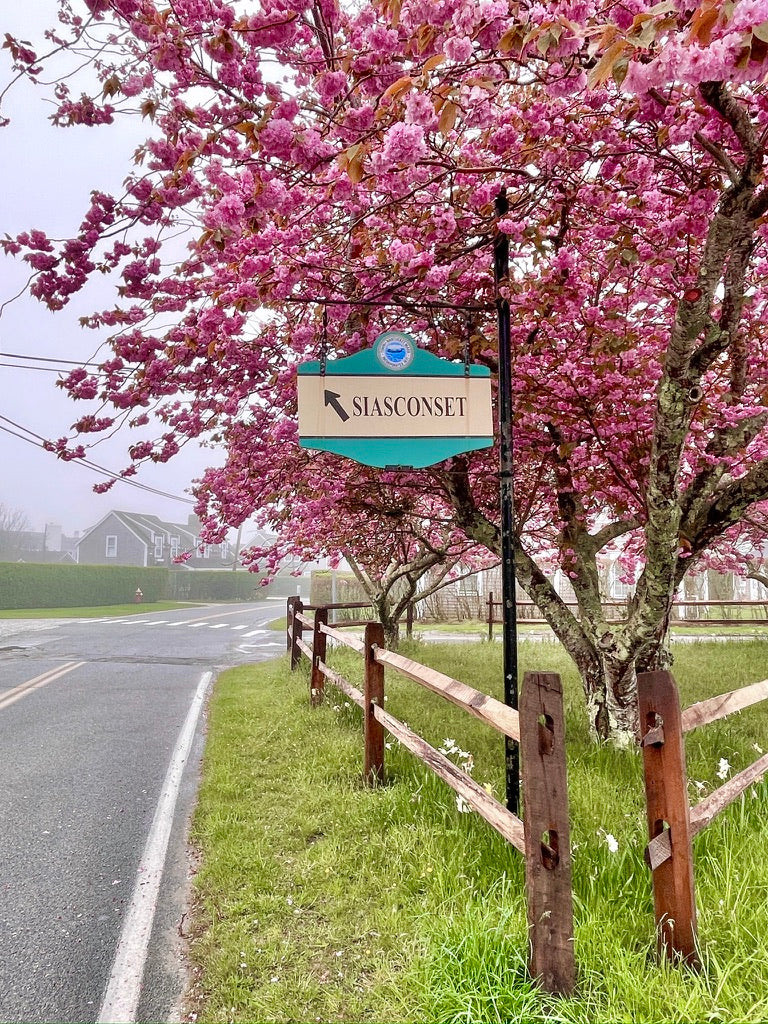 Cherry Tree Memories