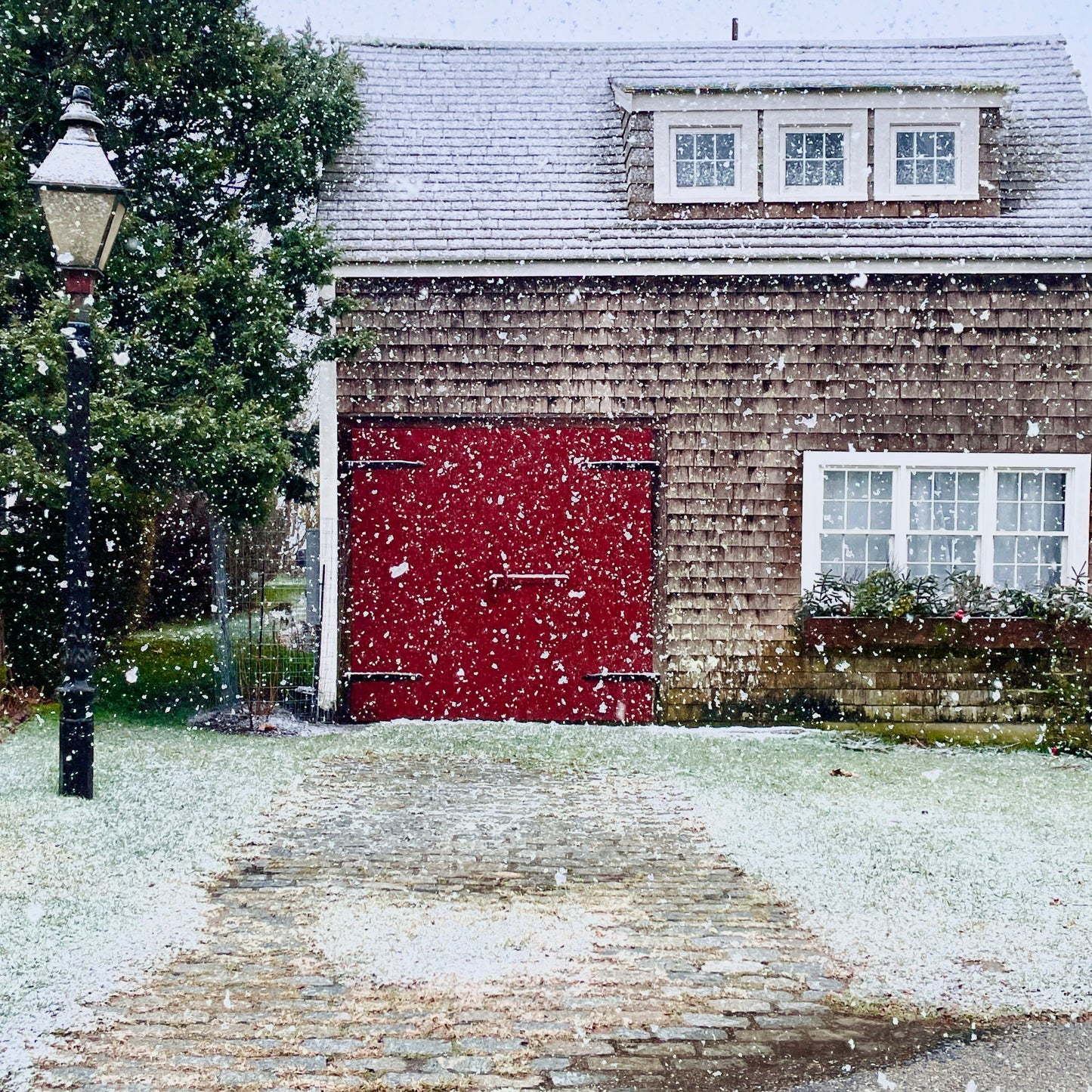 Winter Collection: Note Cards