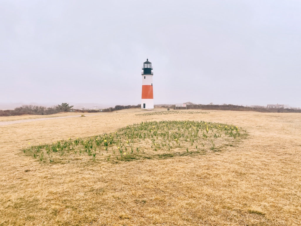 Spring Collection: Note Cards