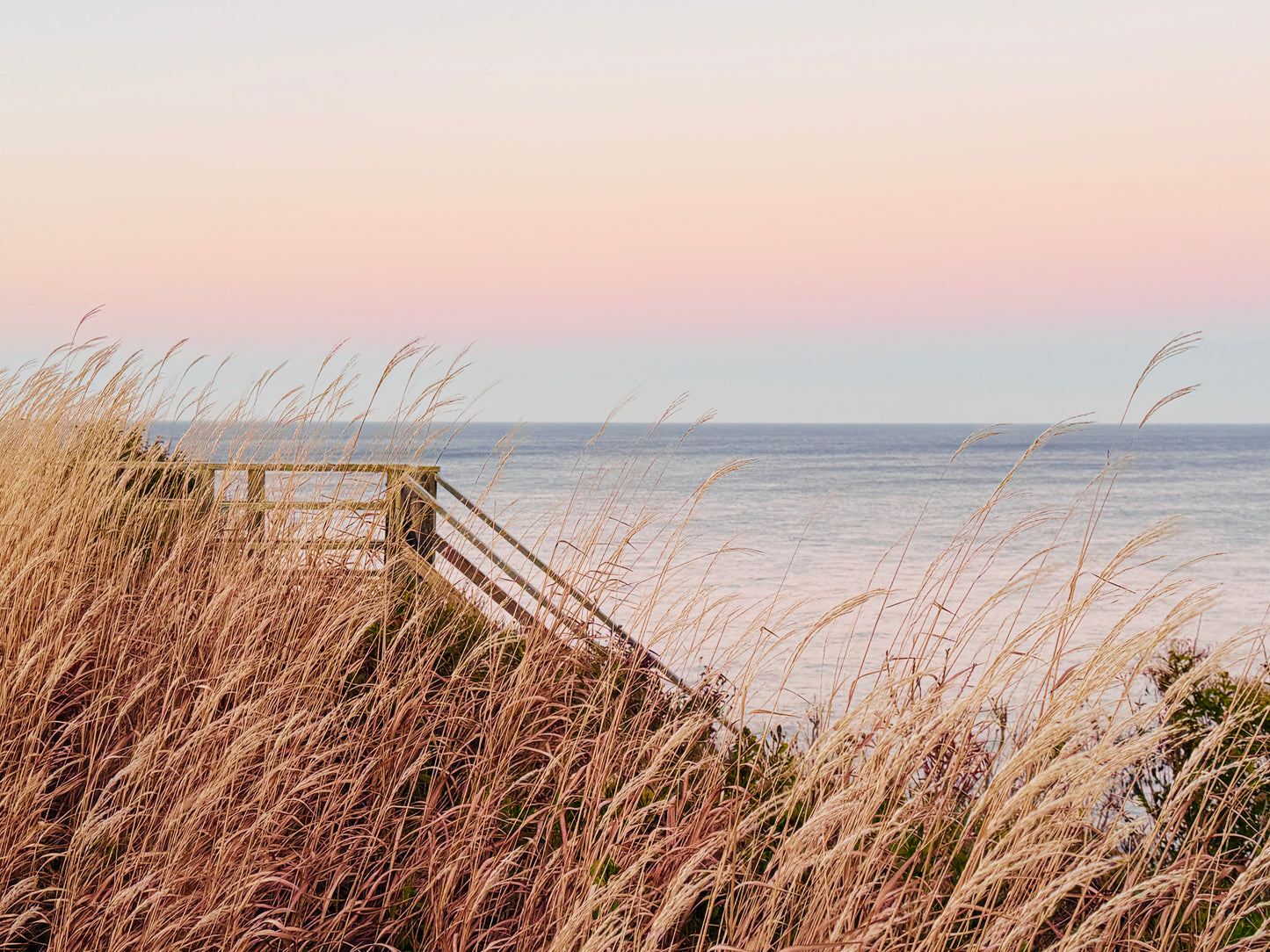 Autumn Collection: Note Cards