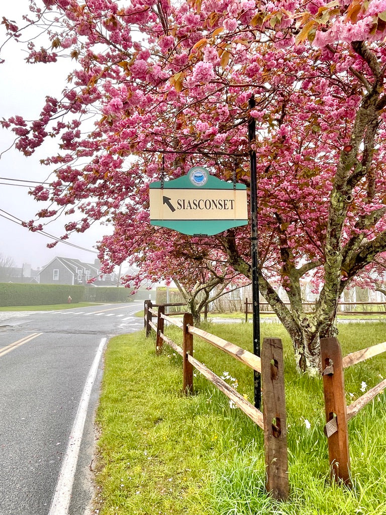 Cherry Tree Memories