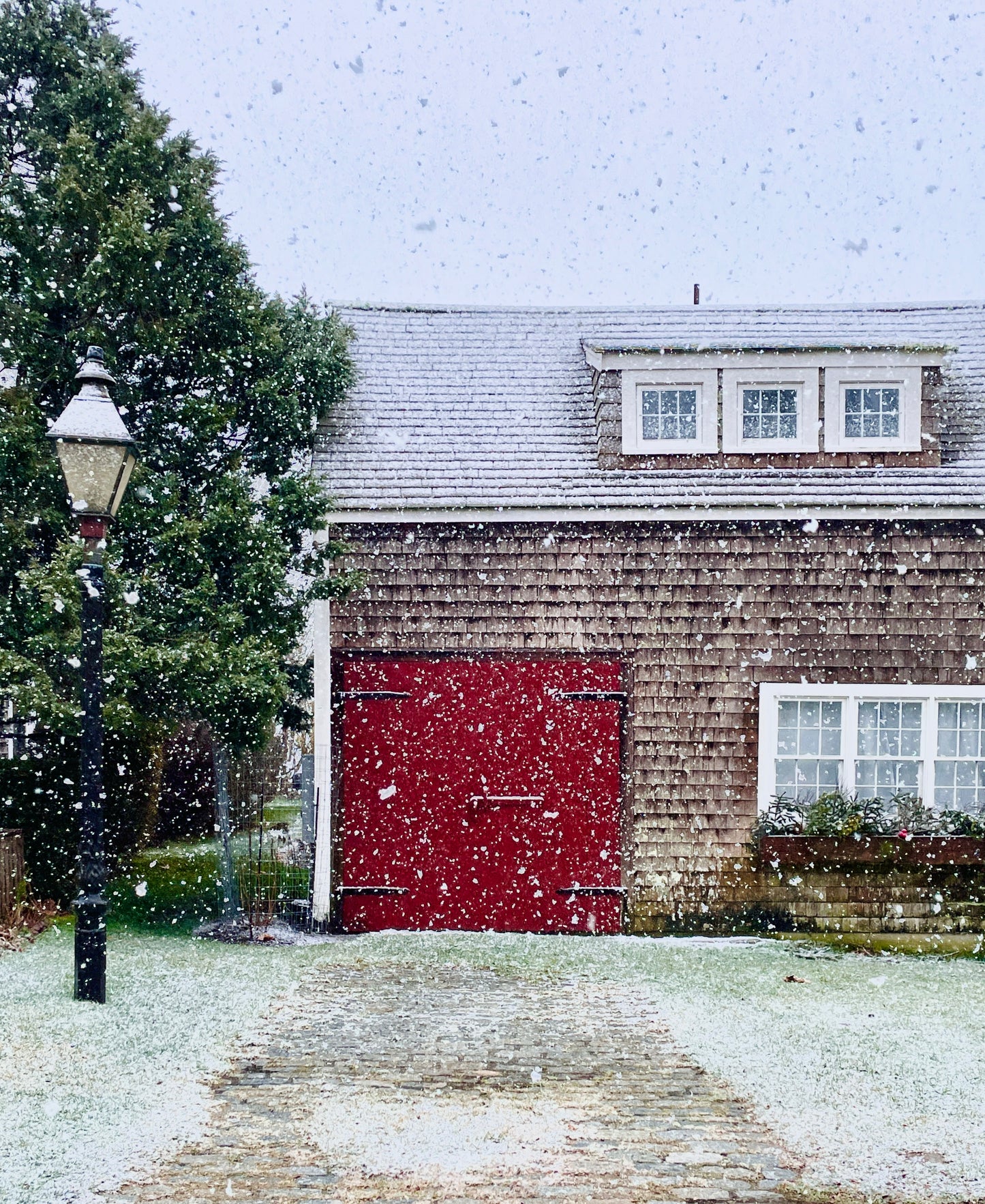 Winter Collection: Note Cards