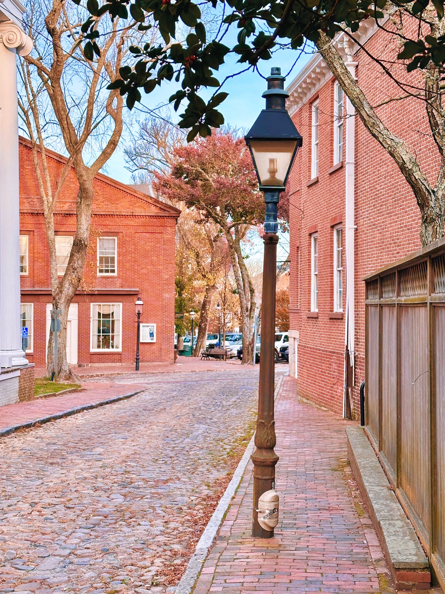 Autumn Collection: Note Cards