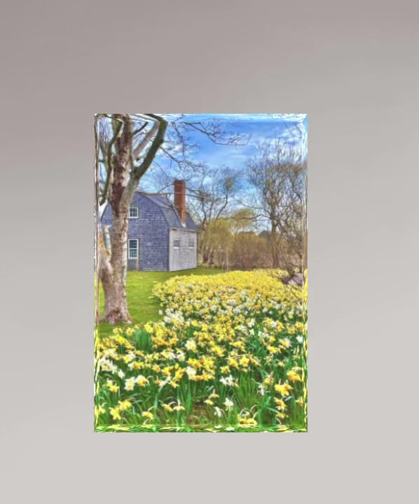 Daffodil Fields Forever (3-D Acrylic Block)