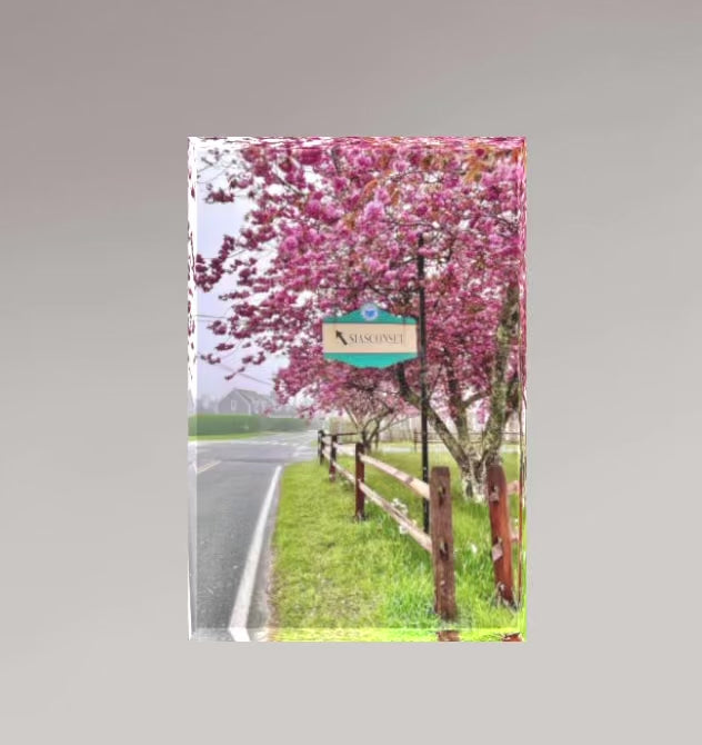Cherry Tree Memories (3-D Acrylic Block)