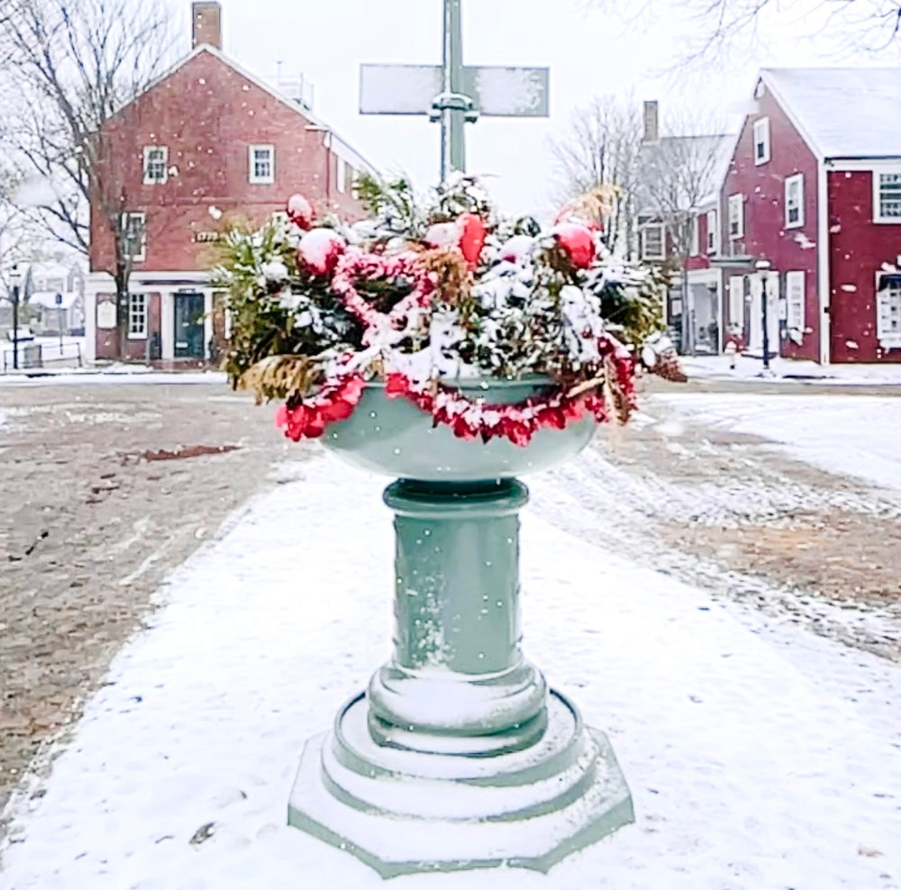 Snowy Main Street