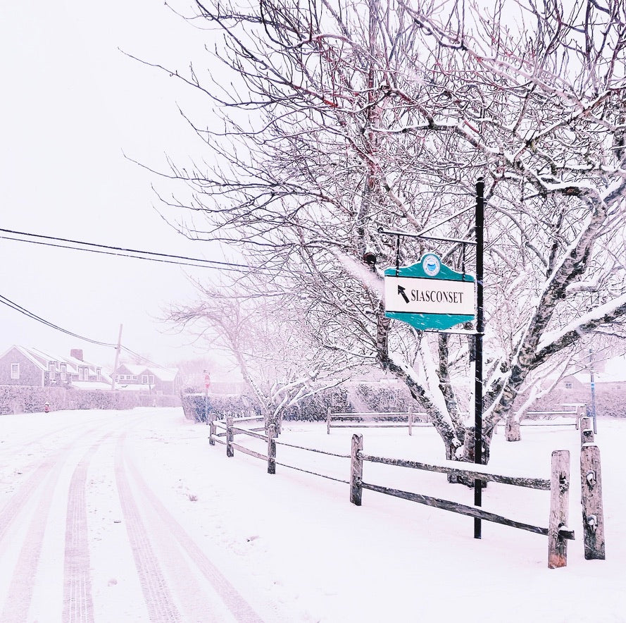 Snowy Cherry Tree Memories