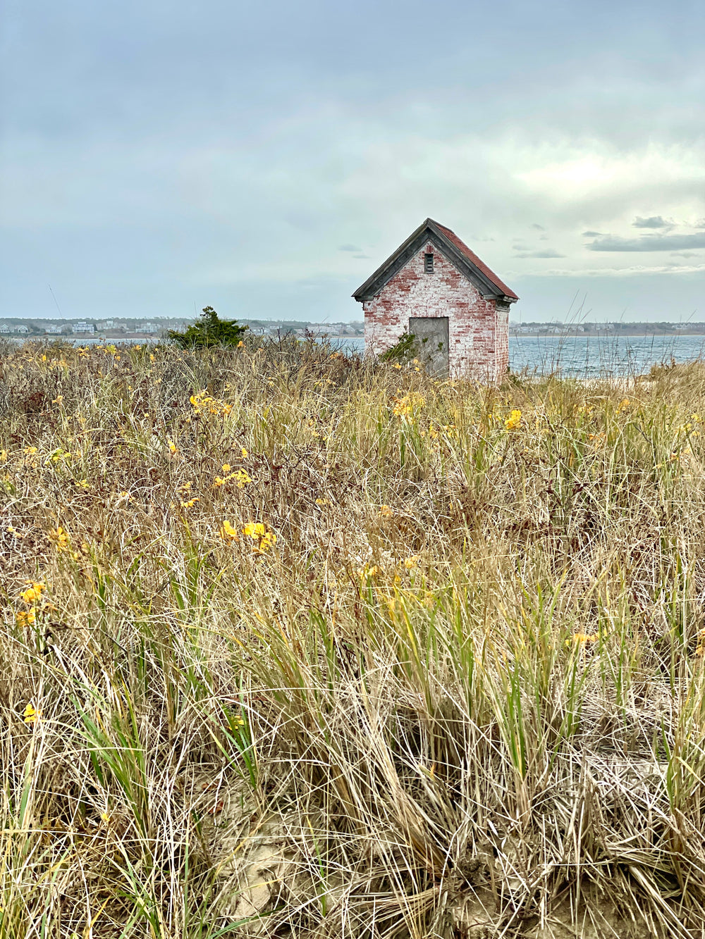 The Hut at Brant Point