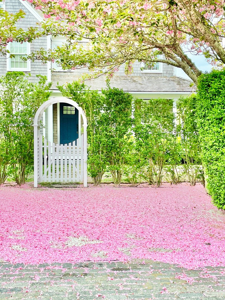 Pink Snow