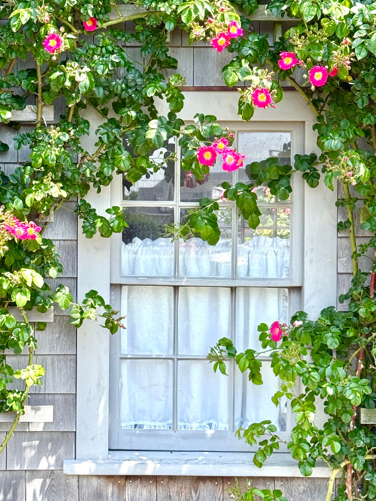 Windows of 'Sconset