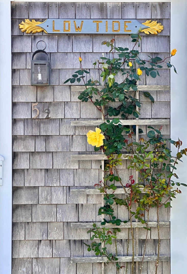 Low Tide on Broadway