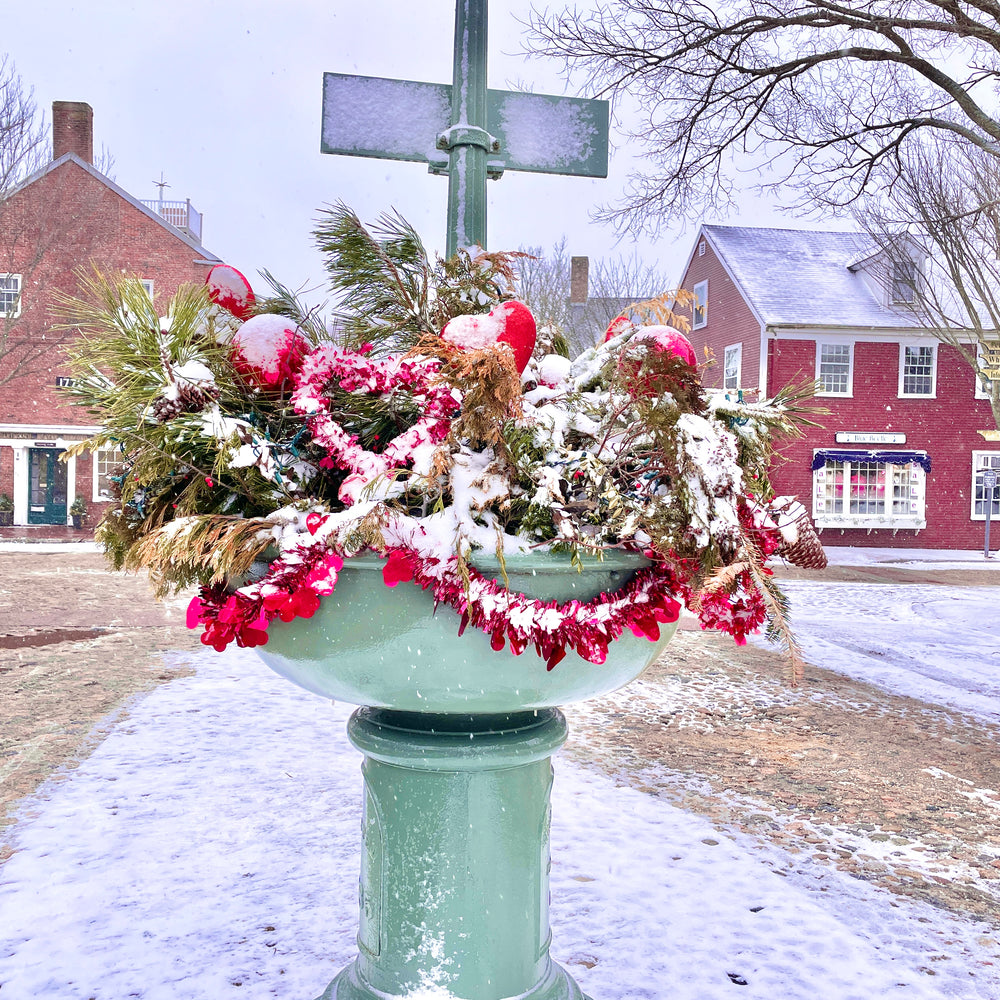 
                      
                        Snowy Main Street: minis
                      
                    