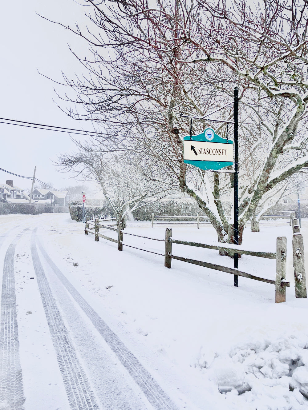 Snowy ‘Sconset Cherry Tree Memories (3-D Acrylic Block)