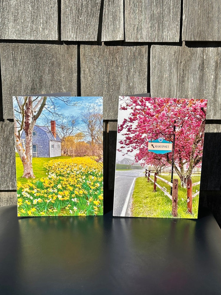 
                      
                        Spring Collection: Note Cards
                      
                    