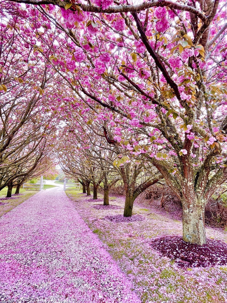 
                      
                        Spring Collection: Note Cards
                      
                    