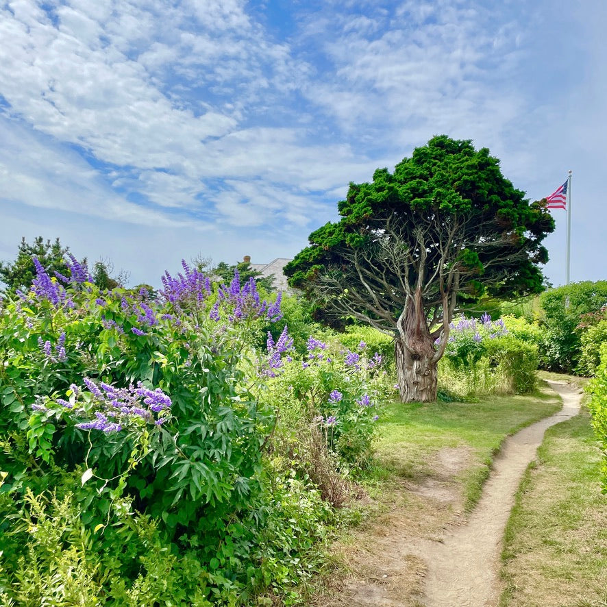 
                      
                        Personalized Note Cards
                      
                    