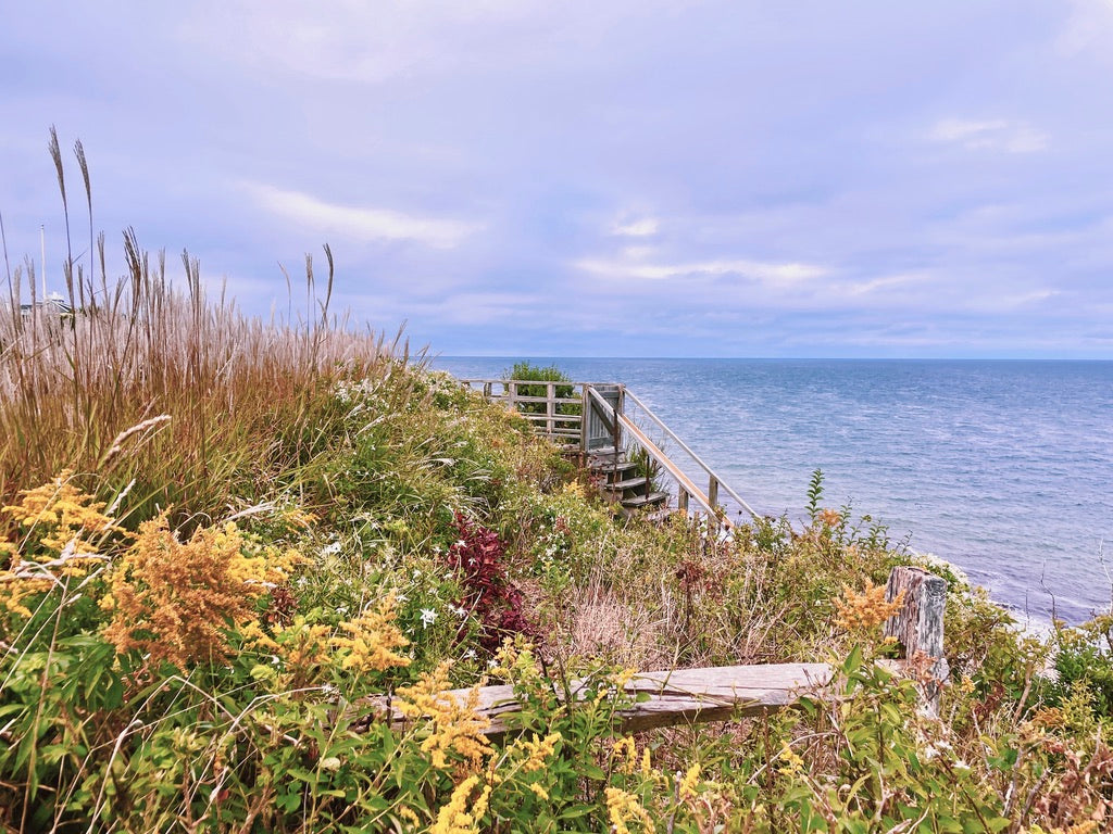 Sconset and Beyond