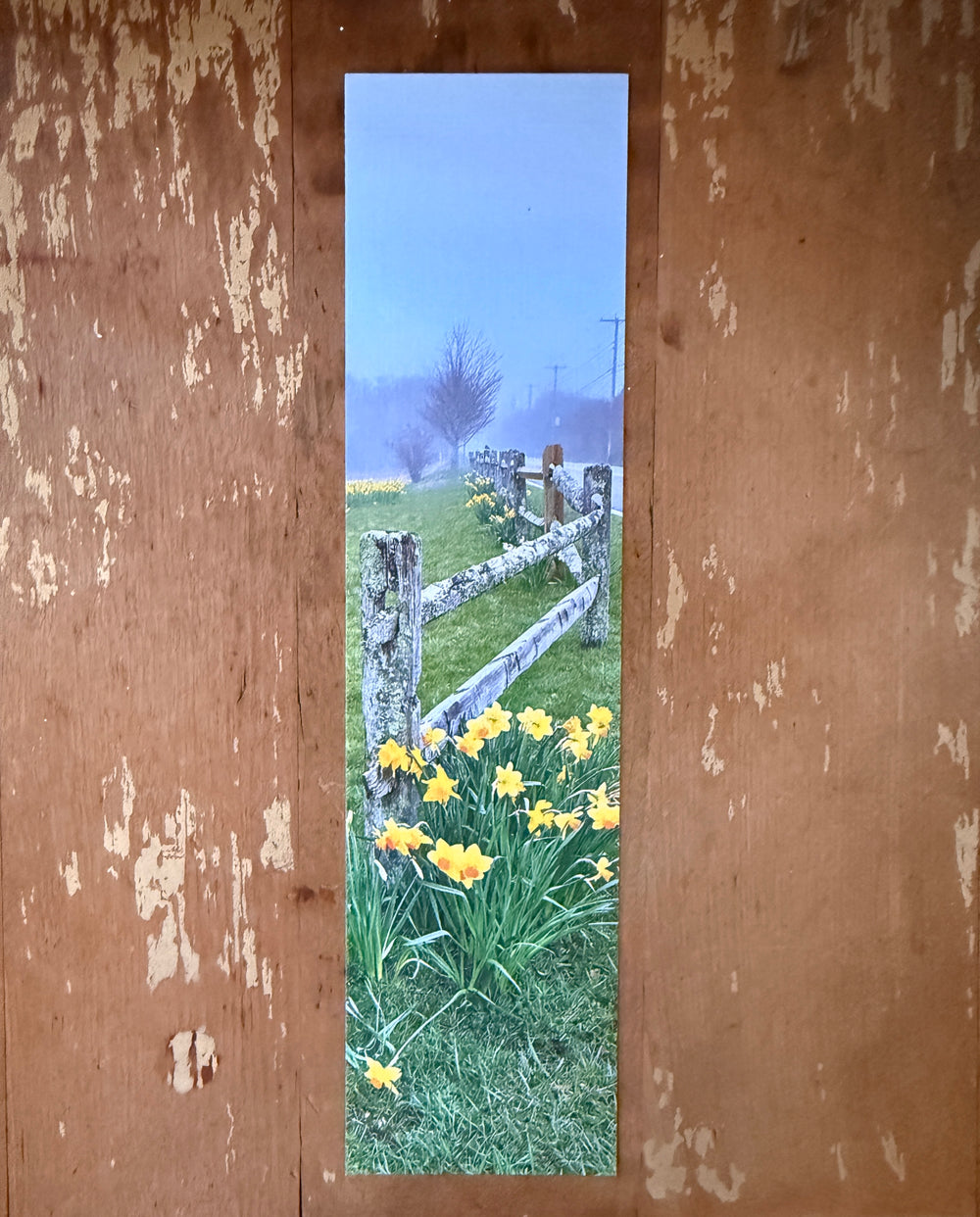 Bookmark: Foggy Daffodils